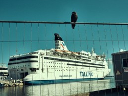 Baltique Tallin Estonie